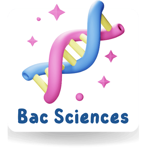 [A11new]- Informatique- Epreuves Bacs scientifiques corrigées (2009-2025)