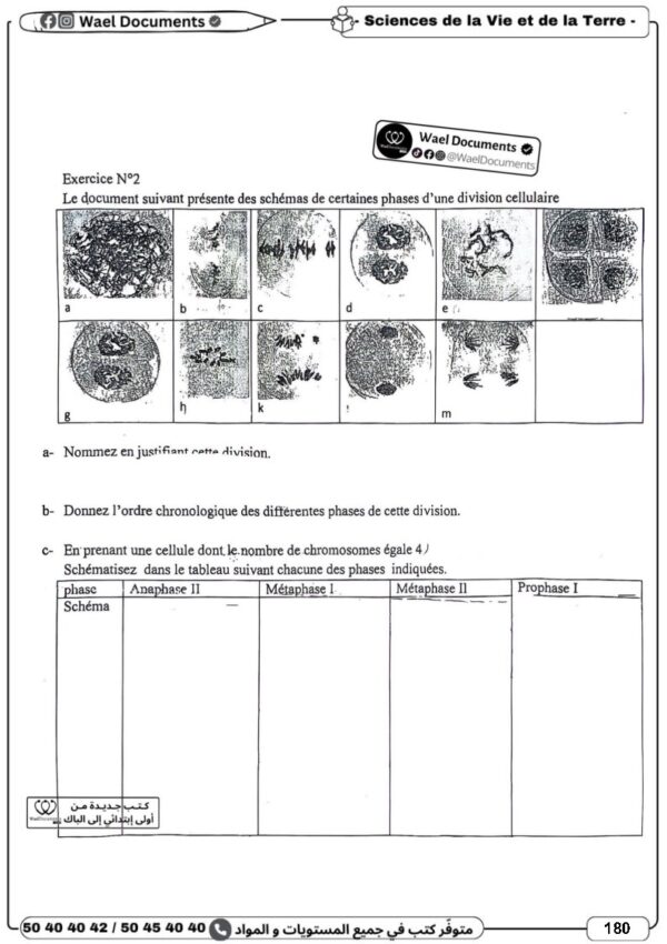 [3MB] 3ème année math- Devoirs corrigés- 2 trimestre