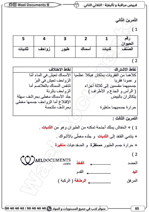 [7BP] السابعة أساسي 2026-امتحانات بالاصلاح للنموذجي  -الثلاثي الثاني