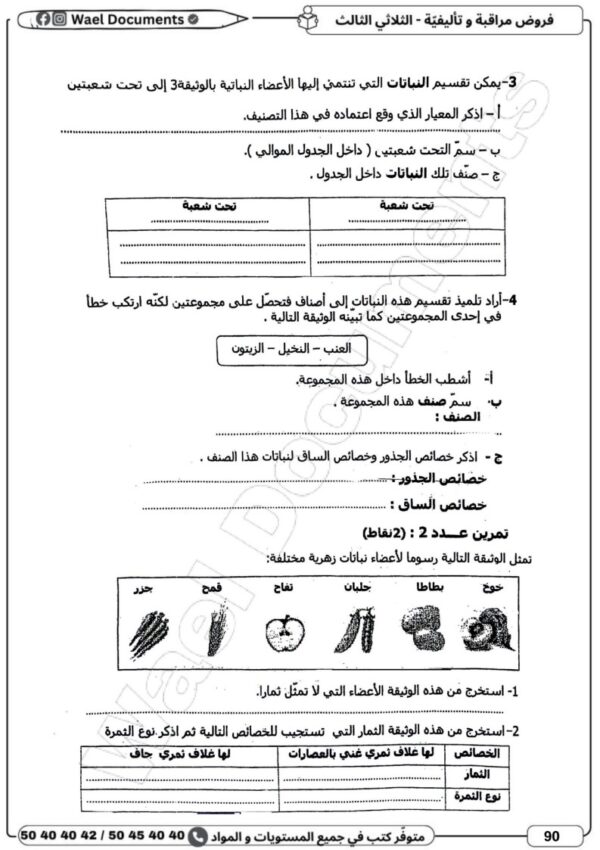 [7CN] السابعة أساسي 2026-امتحانات بالاصلاح -الثلاثي الثالث