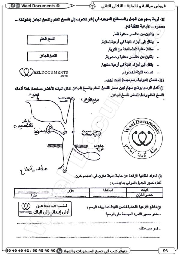 [8BP] الثامنة أساسي 2026 -امتحانات بالاصلاح للنموذجي  - الثلاثي الثاني