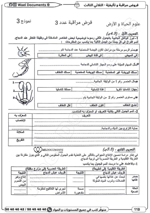 [8CN] الثامنة أساسي 2026 -امتحانات بالاصلاح - الثلاثي الثالث