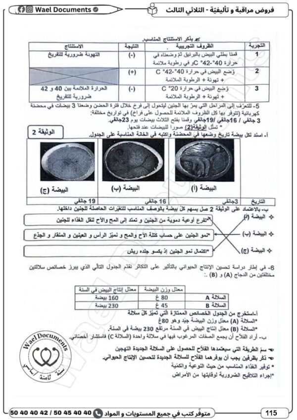 [8CP] الثامنة أساسي 2026 -امتحانات بالاصلاح للنموذجي  - الثلاثي الثالث