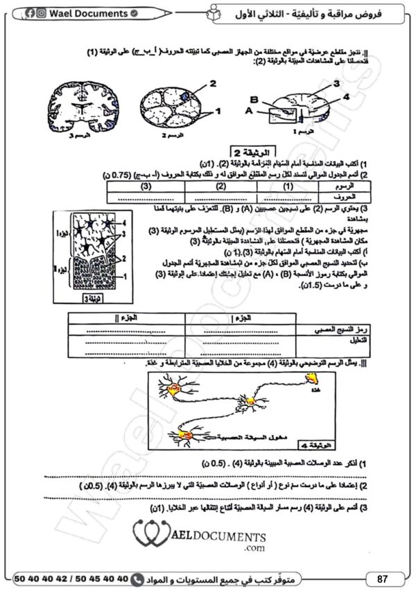 [9AN]  التاسعة أساسي2026  -امتحانات بالإصلاح -الثلاثي الأول