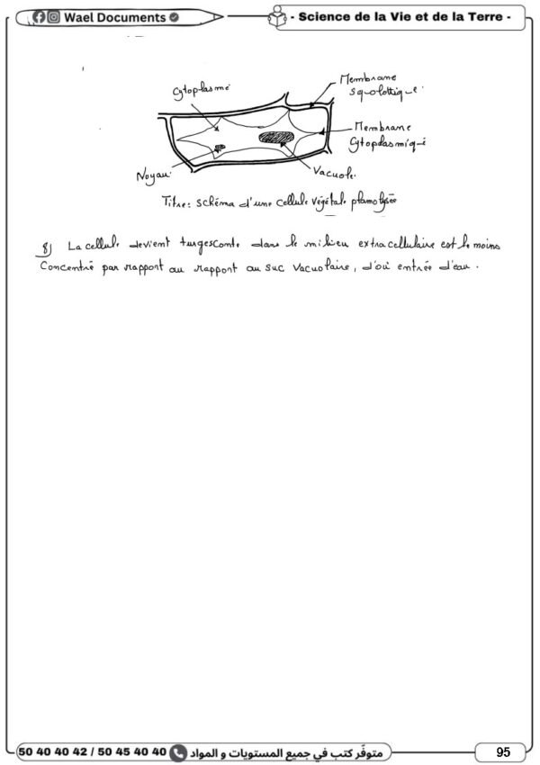 [1A] 1ère année- Devoirs corrigés- 1er trimestre