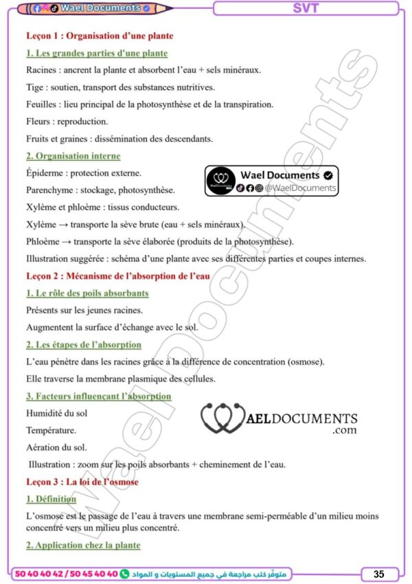 [11] 1ère année 2026 - résumée et exercices corrigée-1er trimestre
