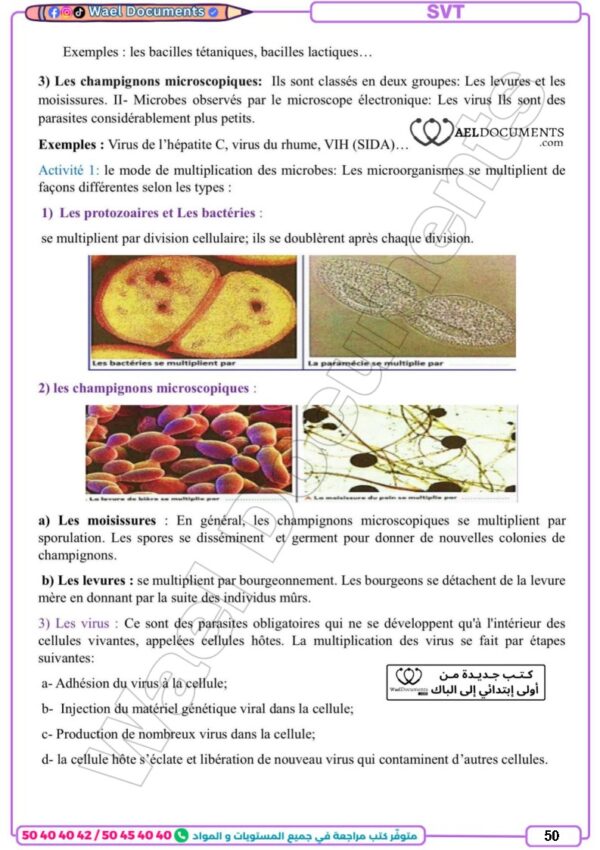 [13] 1er année 2026 - résumée et exercices corrigée-trimestre 3