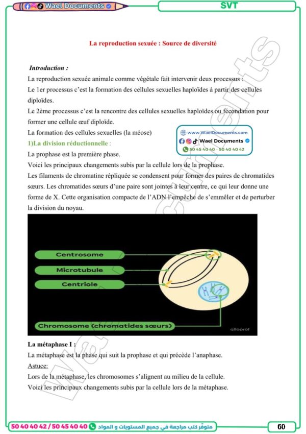 [3S2] 3ème science 2026- résumées et exercices corrigé- trimestre 2