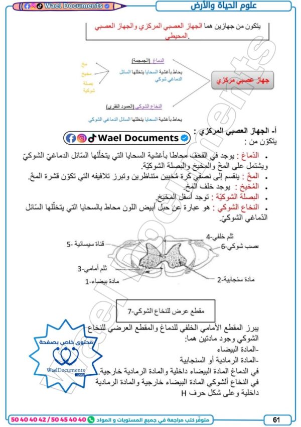 [91N]  التاسعة أساسي2026  -تلاخيص مع تمارين بالإصلاح -الثلاثي الأول