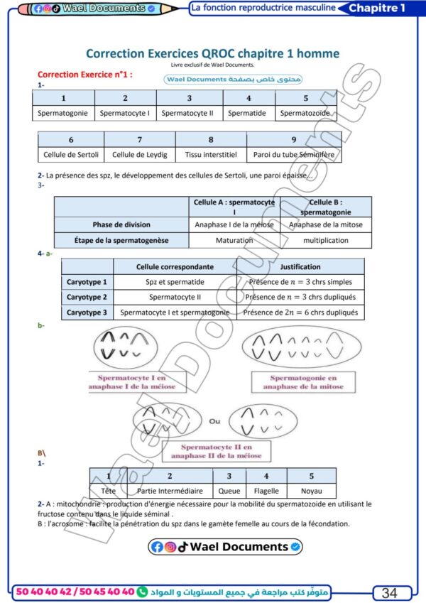 [SSy] SVT-Cours, et exercices corrigés TOME 1-Bac science:Homme,femme,procréation,génétique humaine et diploides (couleurs)