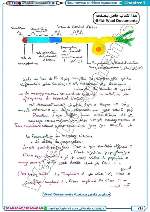 [SSz] SVT-Cours et exercices corrigés TOME 2- Bac sciences: Evolution,Neuro,Muxle,pression,immunité (couleurs)
