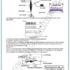 [SSz] SVT-Cours et exercices corrigés TOME 2- Bac sciences: Evolution,Neuro,Muxle,pression,immunité (couleurs)