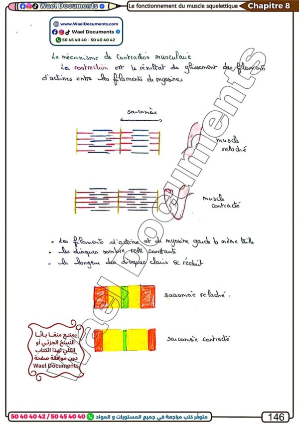 [SSz] SVT-Cours et exercices corrigés TOME 2- Bac sciences: Evolution,Neuro,Muxle,pression,immunité (couleurs)