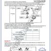[SSz] SVT-Cours et exercices corrigés TOME 2- Bac sciences: Evolution,Neuro,Muxle,pression,immunité (couleurs)