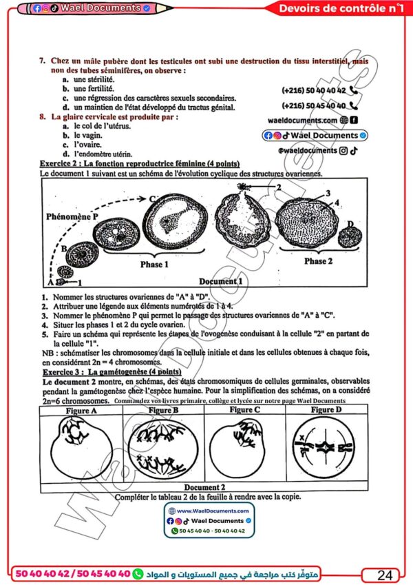 [SSd] SVT- Devoirs Bac sciences avec correction pour toute l’année(Noir)