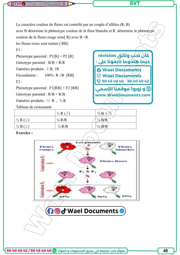 [3S3] 3ème science 2026- résumées et exercices corrigé- trimestre 3