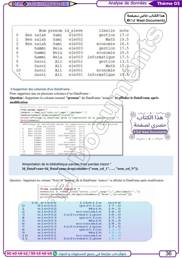 [EI] Informatique – Bac Économie : Cours, résumés, exercices et examens du baccalauréat corrigés-partie théorique et pratique(couleurs)