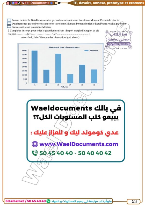 [EI] Informatique – Bac Économie : Cours, résumés, exercices et examens du baccalauréat corrigés-partie théorique et pratique(couleurs)