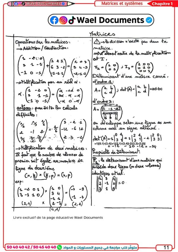 [EMc] Maths- Bac Economie- Cours,résumés et exercices corrigés pour toute l’année (noir)