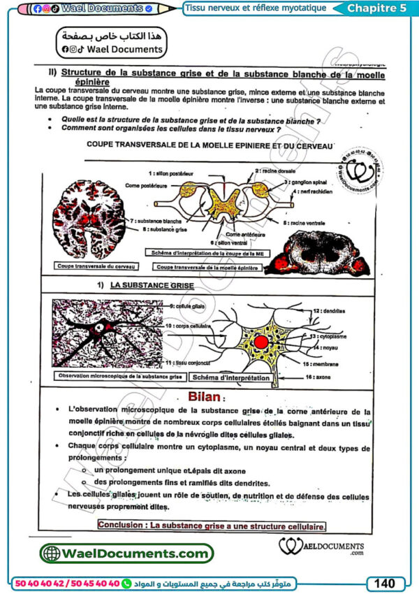 [MS] SVT- Bac Maths- Cours,exercices, et devoirs corrigés