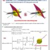 [SMz] -Maths- Cours et exercice corrigés- TOME 2 Bac sciences: primitives intègrales, espace, ln, exp, prob, stat, ép.diff (noir)