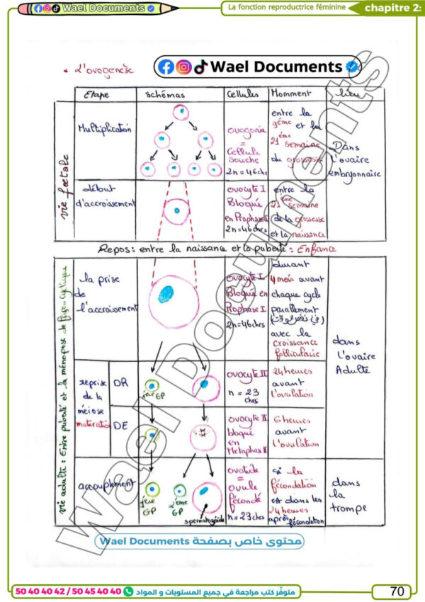 [LS] SVT- Bac lettre - résumée, exercices , QROQ, QCM et analyse+ devoirs corrigés-2026